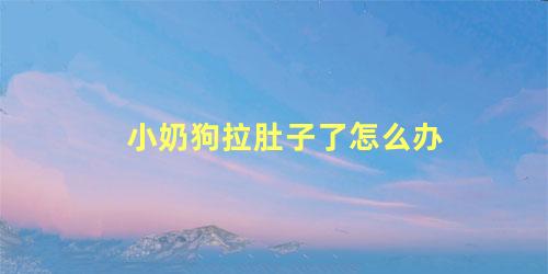 小奶狗拉肚子了怎么办
