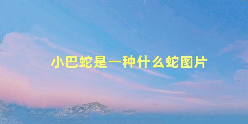 小巴蛇是一种什么蛇图片