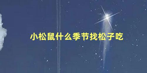 小松鼠什么季节找松子吃
