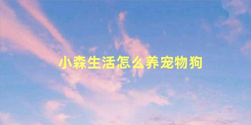小森生活怎么养宠物狗