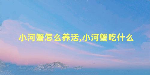 小河蟹怎么养活,小河蟹吃什么