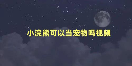 小浣熊可以当宠物吗视频