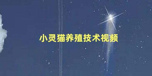 小灵猫养殖技术视频