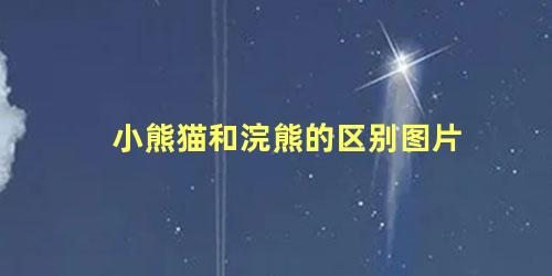 小熊猫和浣熊的区别图片
