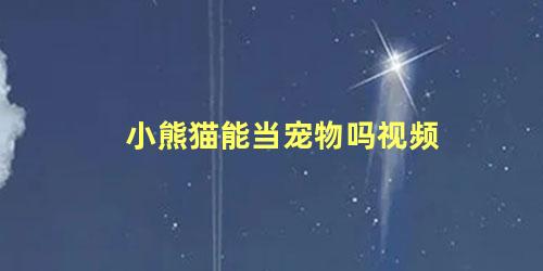 小熊猫能当宠物吗视频