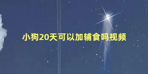 小狗20天可以加辅食吗视频