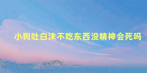 小狗吐白沫不吃东西没精神会死吗