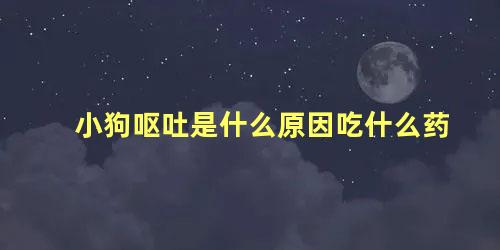 小狗呕吐是什么原因吃什么药