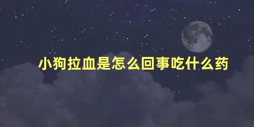 小狗拉血是怎么回事吃什么药