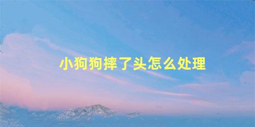 小狗狗摔了头怎么处理