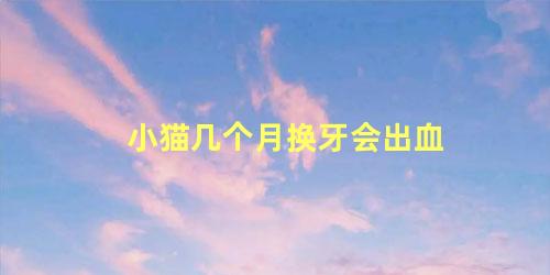 小猫几个月换牙会出血