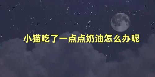 小猫吃了一点点奶油怎么办呢