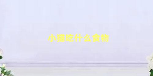 小猫吃什么食物