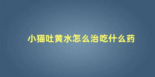 小猫吐黄水怎么治吃什么药