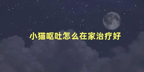 小猫呕吐怎么在家治疗好