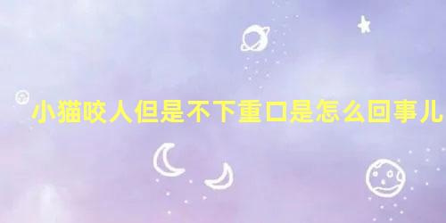 小猫咬人但是不下重口是怎么回事儿