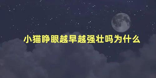 小猫睁眼越早越强壮吗为什么