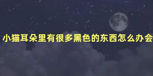 小猫耳朵里有很多黑色的东西怎么办会自愈吗