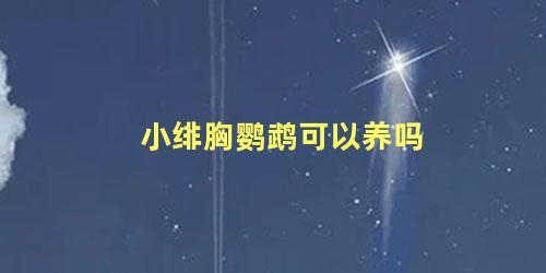 小绯胸鹦鹉可以养吗
