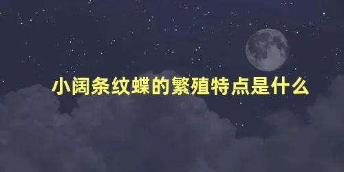 小阔条纹蝶的繁殖特点是什么