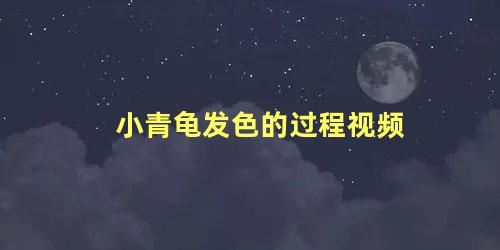 小青龟发色的过程视频