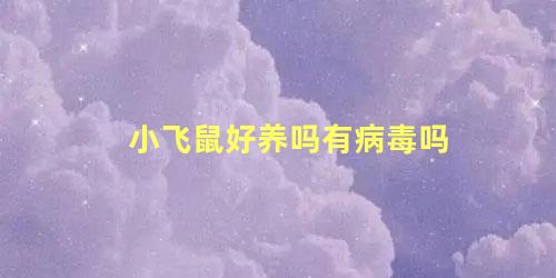 小飞鼠好养吗有病毒吗