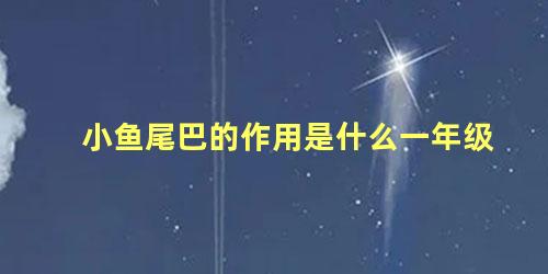 小鱼尾巴的作用是什么一年级