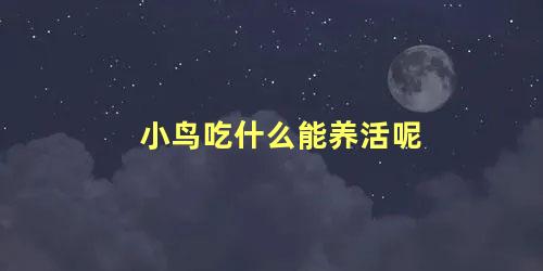 小鸟吃什么能养活呢