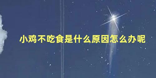 小鸡不吃食是什么原因怎么办呢