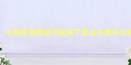 小鸡仔突然站不起来了怎么办吃什么药