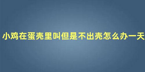 小鸡在蛋壳里叫但是不出壳怎么办一天一夜