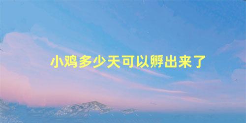 小鸡多少天可以孵出来了