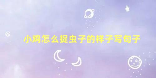 小鸡怎么捉虫子的样子写句子