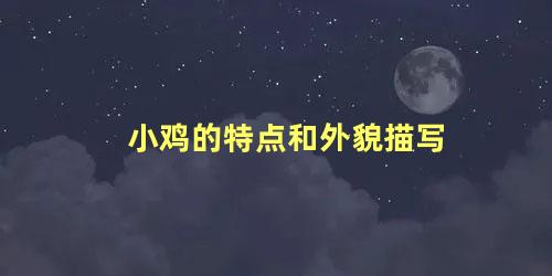 小鸡的特点和外貌描写