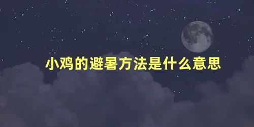小鸡的避暑方法是什么意思