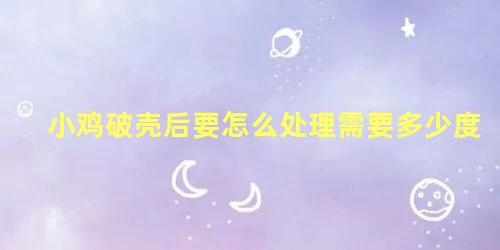 小鸡破壳后要怎么处理需要多少度