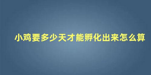 小鸡要多少天才能孵化出来怎么算