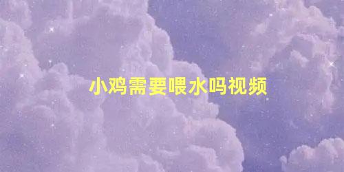 小鸡需要喂水吗视频