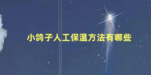 小鸽子人工保温方法有哪些
