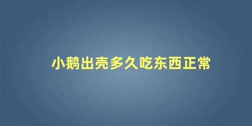 小鹅出壳多久吃东西正常