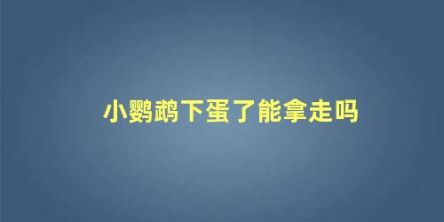 小鹦鹉下蛋了能拿走吗