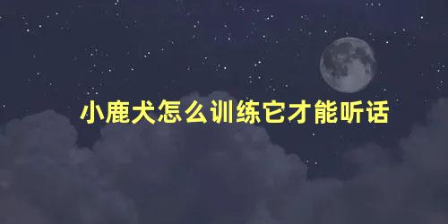 小鹿犬怎么训练它才能听话