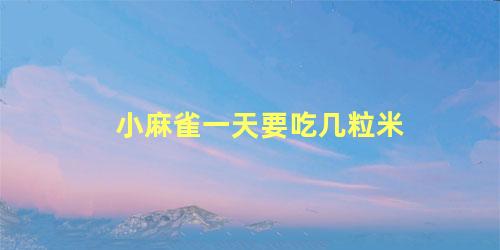 小麻雀一天要吃几粒米
