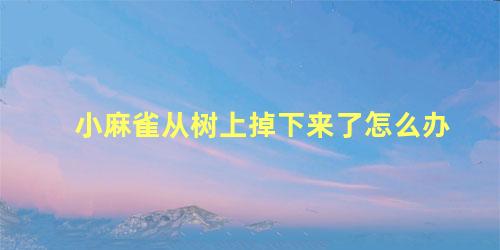 小麻雀从树上掉下来了怎么办