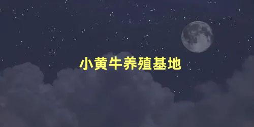 小黄牛养殖基地