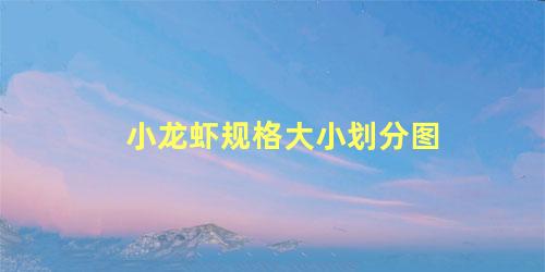 小龙虾规格大小划分图