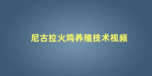 尼古拉火鸡养殖技术视频