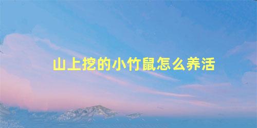 山上挖的小竹鼠怎么养活