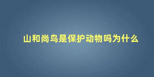 山和尚鸟是保护动物吗为什么