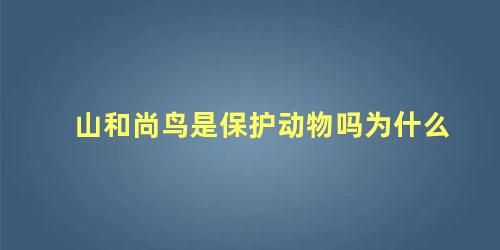 山和尚鸟是保护动物吗为什么